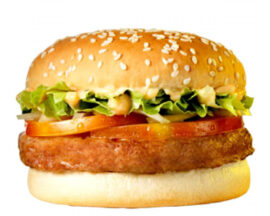 Vegetable Burger